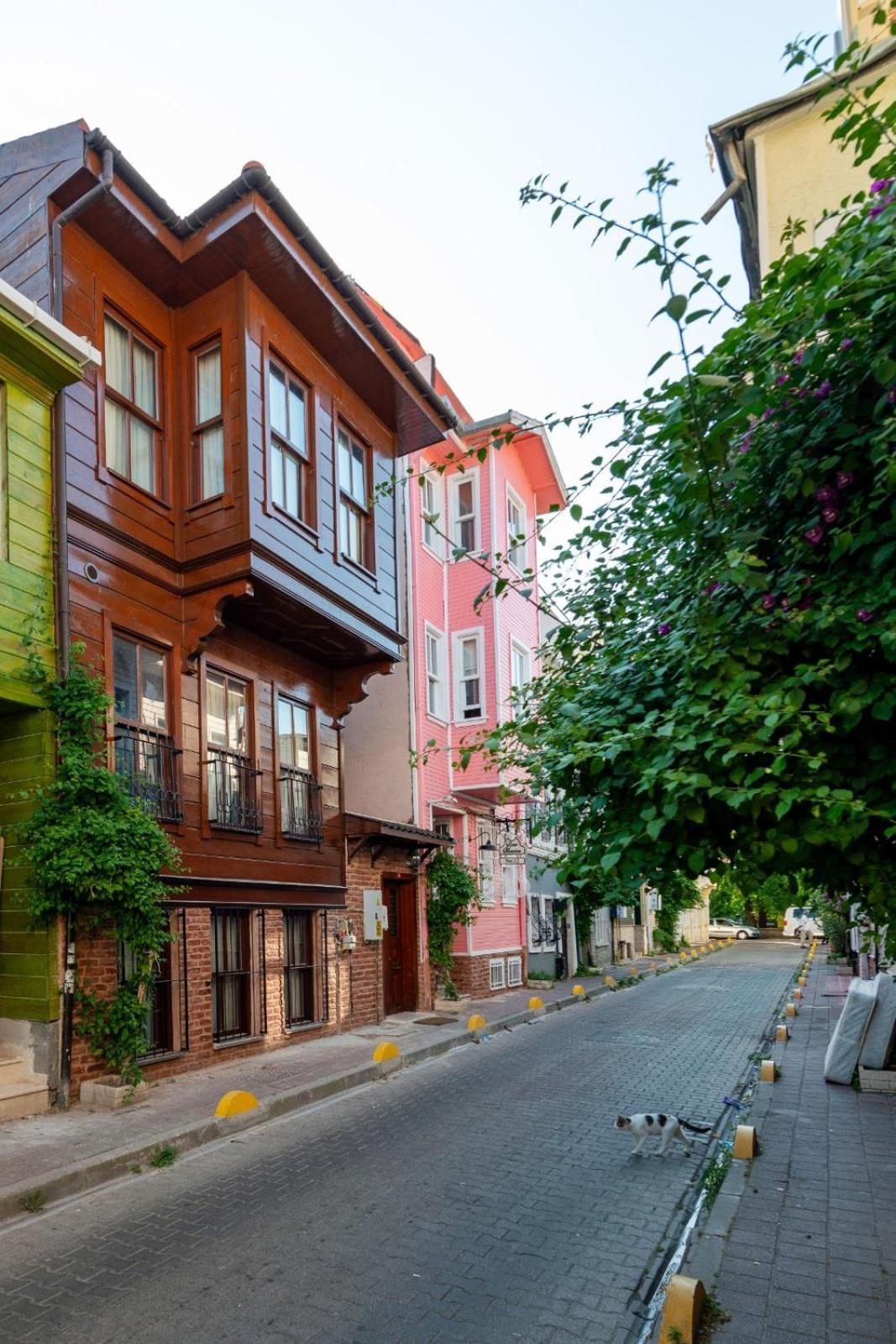 Brown Mansion Oldcity Istanbul Exteriör bild